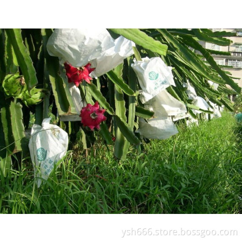 Dragon fruit protective paper bag with different size factory price